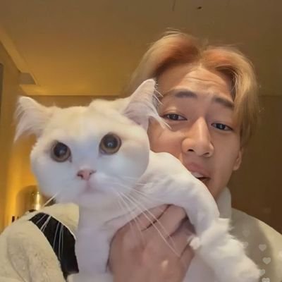 ʚ ᴀᴏʀᴀᴇ ʙᴀᴍᴍɪᴇ ɞ 🖤❤️