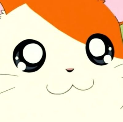 안정주(인용많이함)