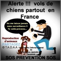 BRINDILLE85 💙🤍💔 🧡