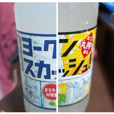 ヨーグ🐮狼🐺時々🍋(義狼-GIRO-)