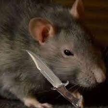 Rat with a knife🐀