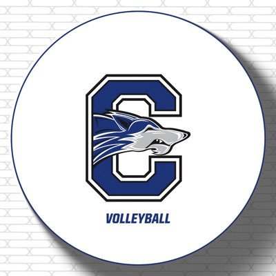 Chandler Boys Volleyball
