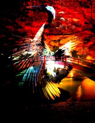 サンロータスしゅうほう