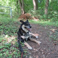 Birgit S - mag eine bunte Welt