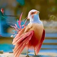 miran_華流ドラマ・韓流ドラマ👍