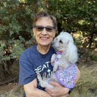 Teresa 💙 ੯*໒꒱❤︎ 🐩🌲🌲⛰️