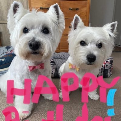 ●◯楽しきビヨある人生❣️◯●水玉さんLIVEゆく