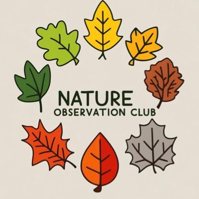 自然観察たい🍀