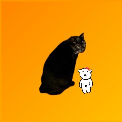 山口 真 🐈‍⬛🌗