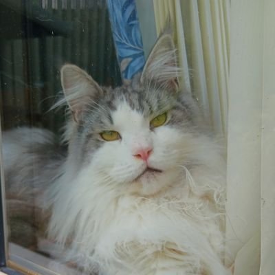 Mrs Hamble #BuyBritish 🇬🇧