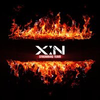 TIGER STREAMING TEAM X:IN