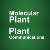 Molecular Plant & Plant Communications