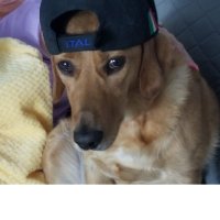 Ivano Defazio 🇨🇦🇮🇹🇺🇸