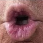 📢TRUMPs FOR PRISON📢The Grift Continue$