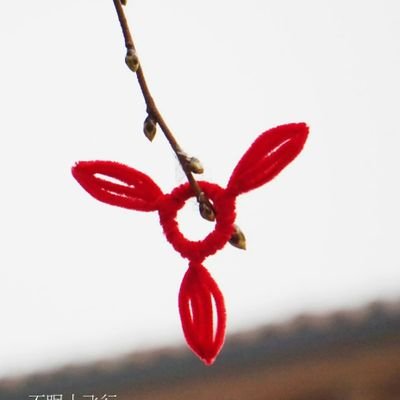 วันอาทิตย์ที่แสนเศร้า 🐷🐰💫