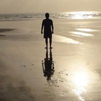 Hindu Ashish Joshi🇮🇳 🚩🔥