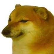 🇻🇳🍓🍋Shiba the CONBOTCUALOVERRUKK 🩷💚