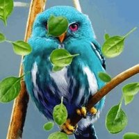 ╰☆☆ ｎ𝓔𝓡๏ ☆☆╮