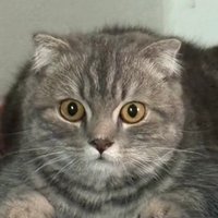 หม่ามหมี๊ ૮ ˶′ﻌ ‵˶ ა