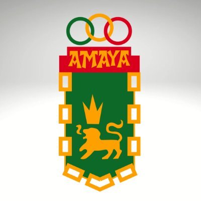 Ciudad Deportiva Amaya Kirol Hiria