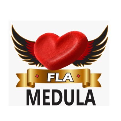 EMBAIXADA FLAMEDULA OFICIAL