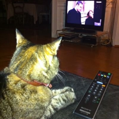 Patrick Genthon📻🎙📸