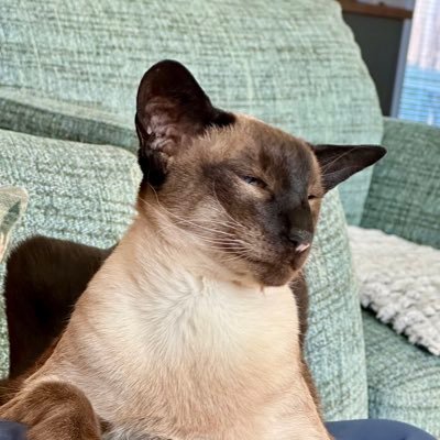 Fat Sandra & her mum 🏴󠁧󠁢󠁳󠁣󠁴󠁿