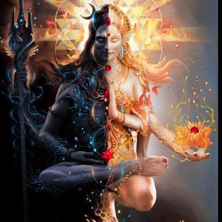 viprayami #AntiHinduIndia ವಿಶ್ವಮಾನವ