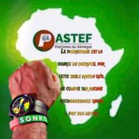 Mame cheikh ibrahima fall