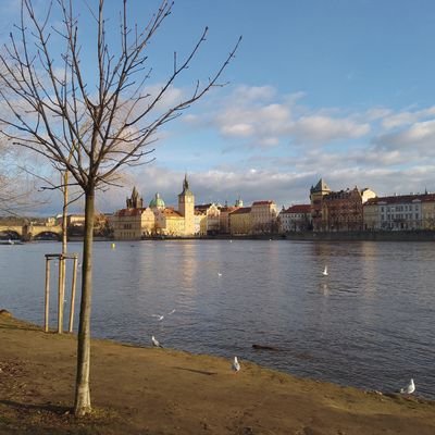 Moscow2🇳🇱🇯🇵