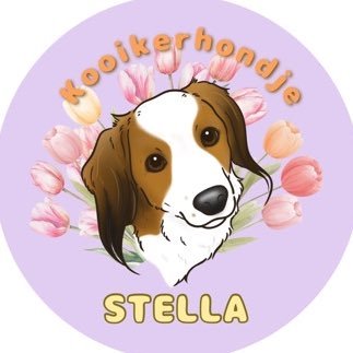 ステラおじさん(なみねむ)