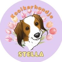 ステラおじさん(なみねむ)