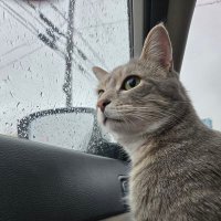 🇺🇸DawnAllison17🇺🇸 👠