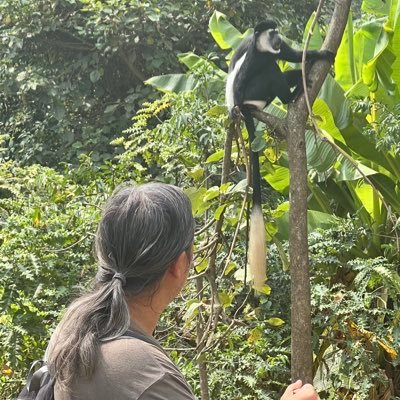 Oh That Tony🫐. A Beaver 🦫 Abroad. 🇨🇦🇺🇦
