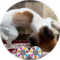 Ruby@知己ソムリエ準1級