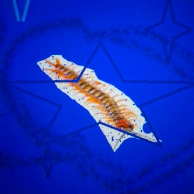 MaRiUs/•ʂɨɭɣ•飛ぶ•