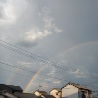 さくらフレジエ風