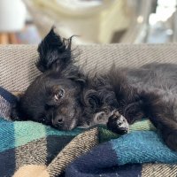 ちょっと良くする - Improving by the day.｜Min