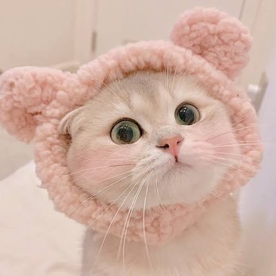 เจ้าความรัก🦋