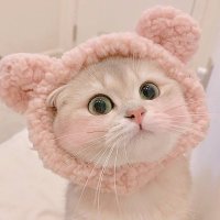 เจ้าความรัก🦋