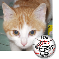 たこさん#野党共闘で政権交代