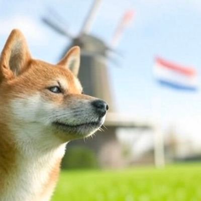DogeNL🇳🇱
