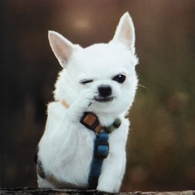 dinsorsee | ETHGas ⛽