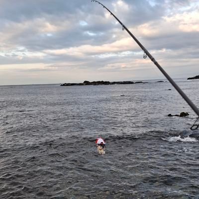 ガッチャ師匠🚑🌲💫🎧️🔧🧪🪭