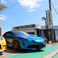 DOG FIGHT PRO ドッグファイト