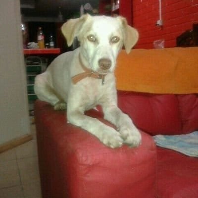 Ruth j@@💚👮‍♂️