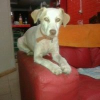 Ruth j@@💚👮‍♂️