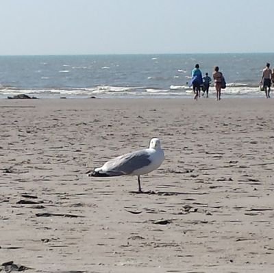 Klar Name ₲Ɽł₲Ɽ₳