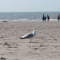 Klar Name ₲Ɽł₲Ɽ₳