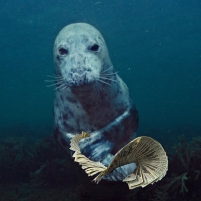 Rage Baiting WVU fan